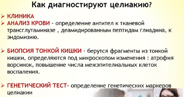 Анализ на глютеновую непереносимость. Как сдавать, как проводят, расшифровка