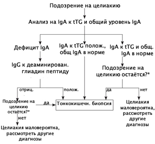 Анализ на глютеновую непереносимость. Как сдавать, как проводят, расшифровка