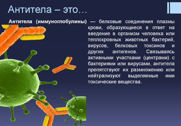 Анализы для ЭКО по ОМС 2023. Список, сроки