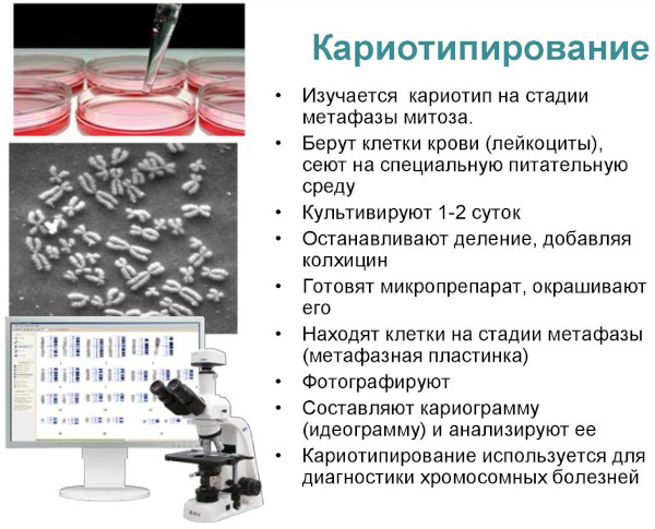 Анализы для ЭКО по ОМС 2023. Список, сроки