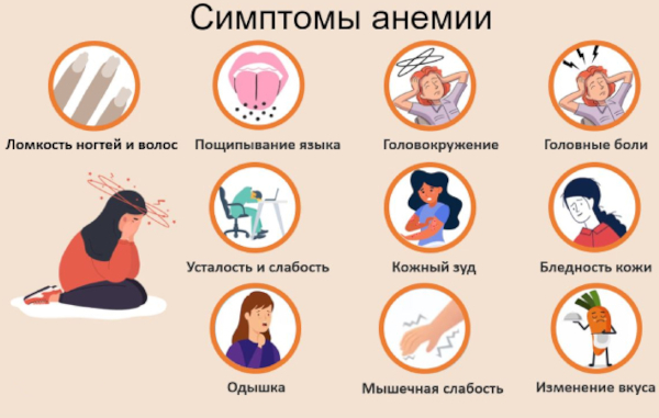 Анализы при анемии у женщин, мужчин, ребенка