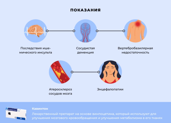 Аналоги Актовегина в таблетках, дешевые взрослым