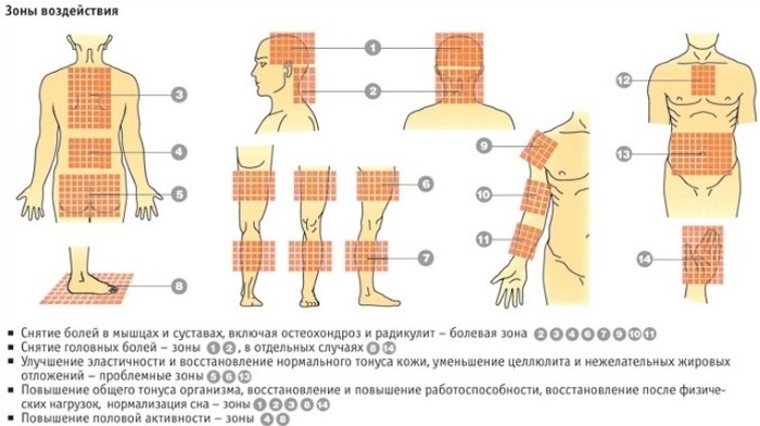 Аппликатор Ляпко для позвоночника. Отзывы, какой лучше