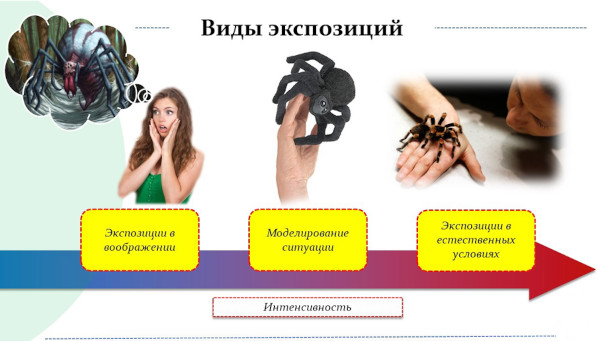 Арахнофобия это боязнь чего, болезнь или нет
