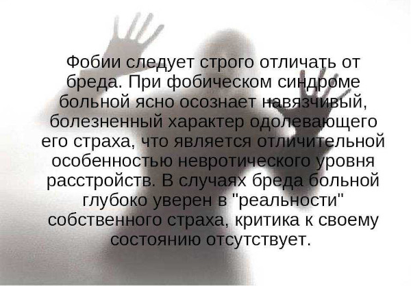 Арахнофобия это боязнь чего, болезнь или нет