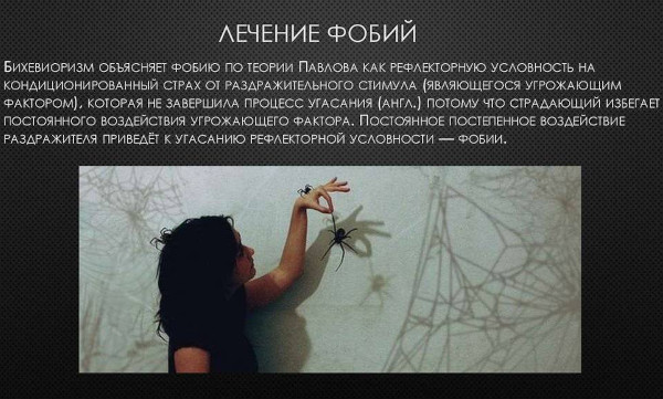 Арахнофобия это боязнь чего, болезнь или нет