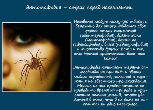 Арахнофобия это боязнь чего, болезнь или нет