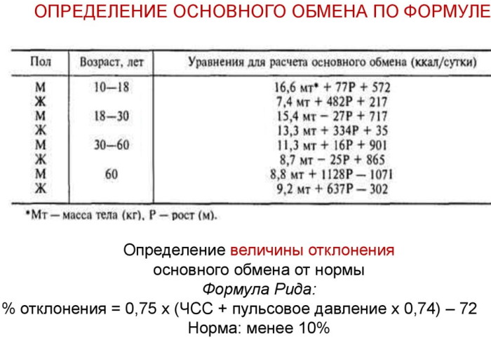 Базальный метаболизм (основной обмен веществ). Что это, как рассчитать уровень