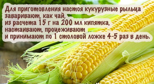 Боль при мочеиспускании у женщин в конце с кровью, жжение внизу живота. Причины, лечение