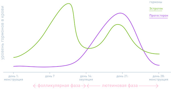Боль в сосках у женщин. От чего болят соски, в области соска