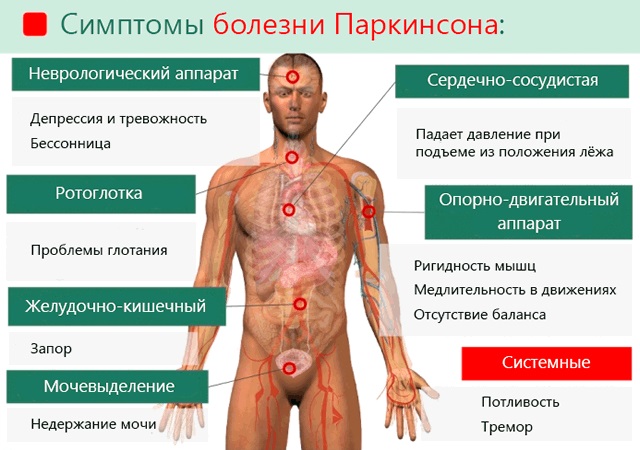 Дрожание (тремор) ног и слабость. Причины, лечение