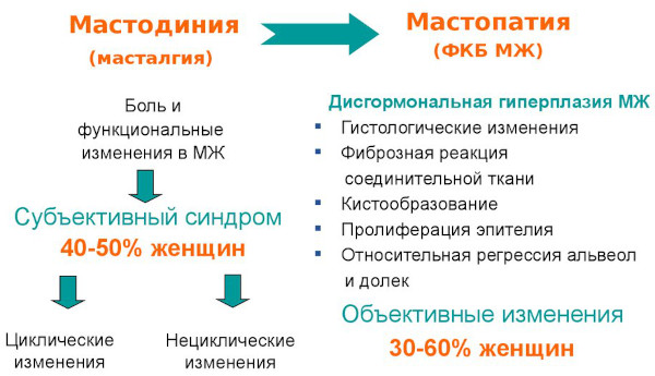 Болит молочная железа при надавливании сбоку. Причины у женщин