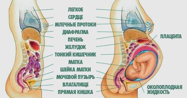 Болит спина при беременности на ранних сроках. Признаки, что делать