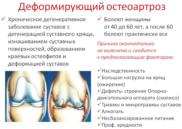 Целебрекс (Celebrex). Инструкция по применению, цена, отзывы