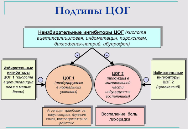 Целебрекс (Celebrex). Инструкция по применению, цена, отзывы