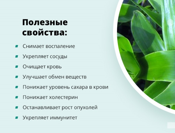 Чистка крови и лимфы в домашних условиях. Народные средства, травы, препараты, продукты питания. Советы врачей