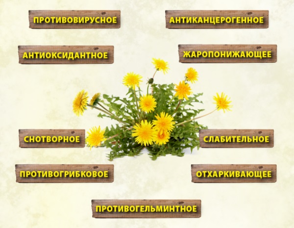 Чистка крови и лимфы в домашних условиях. Народные средства, травы, препараты, продукты питания. Советы врачей