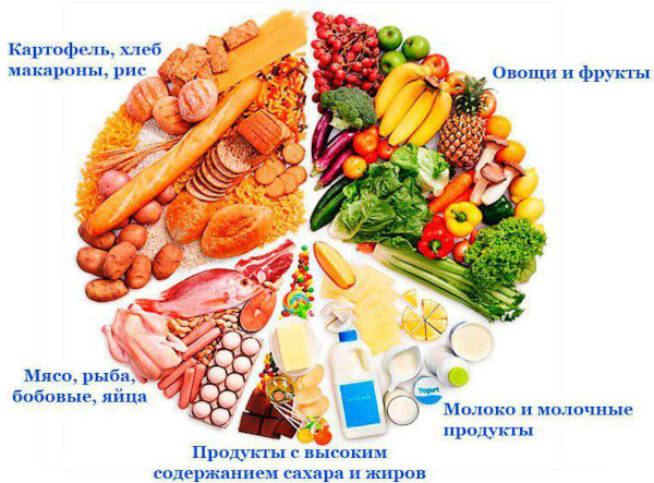 Диета при геморрое у мужчин. Питание в период обострения, меню