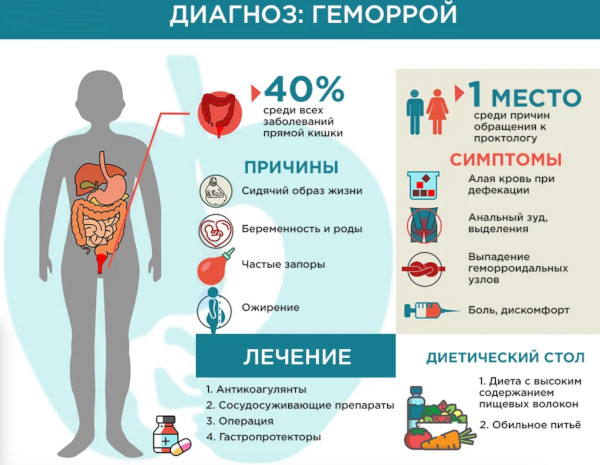 Диета при геморрое у мужчин. Питание в период обострения, меню
