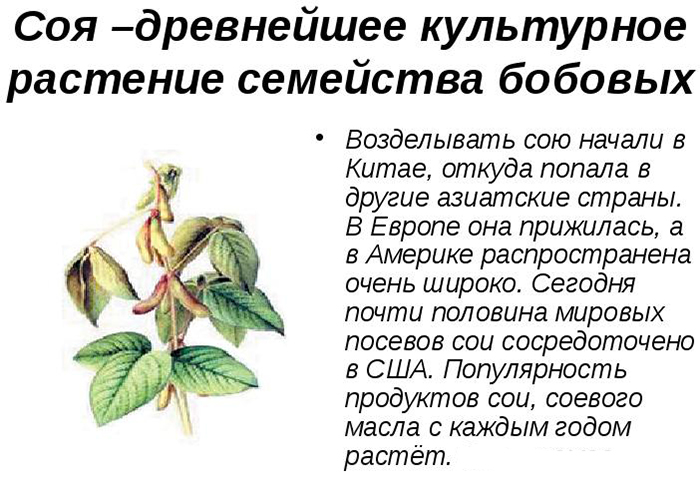 Диета при приеме Варфарина. Список запрещенных продуктов при аритмии, после операции