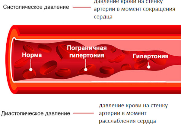 Динамизан. Инструкция по применению, цена, аналоги