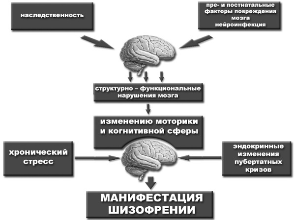 Дисморфофобия в психологии. Что это такое