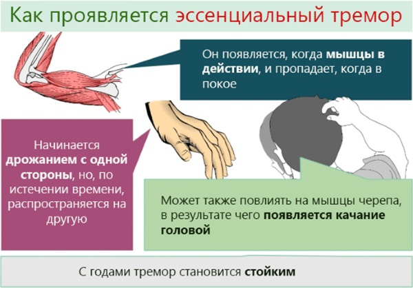 Дофамин и серотонин - гормоны в организме. Что это, блокаторы, симптомы дефицита, как повысить