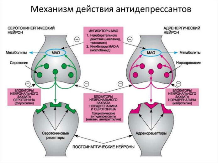 Аналоги Венлафаксина по действию на организм дешевые