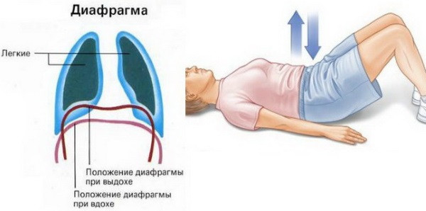 Дыхательная гимнастика при бронхите и болезни легких. Упражнения по Стрельниковой, Бутейко, Фролову