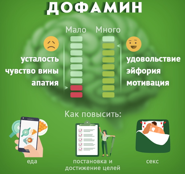 Эндорфин и дофамин. Отличия, разница, как увеличить