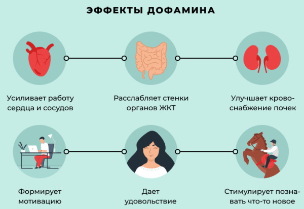 Эндорфин и дофамин. Отличия, разница, как увеличить