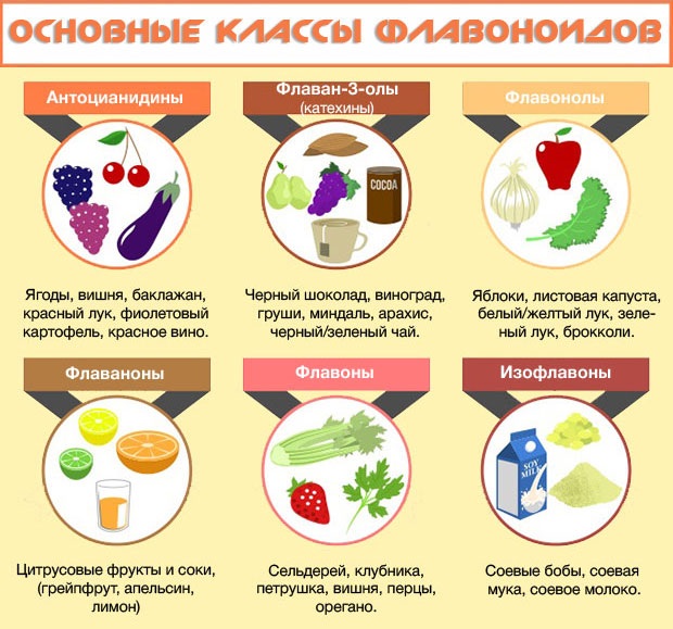Флавоноиды. Влияние на организм, в каких продуктах содержится, полезные свойства, применение