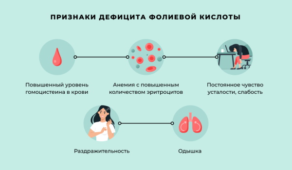 Фолиевая кислота. Для чего организму, зачем пить