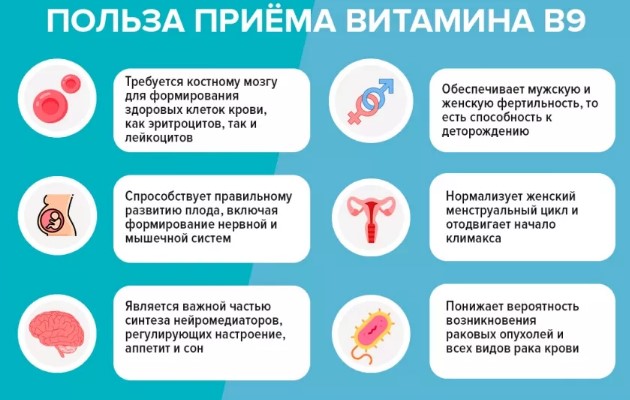 Фолиевая кислота. Для чего организму, зачем пить