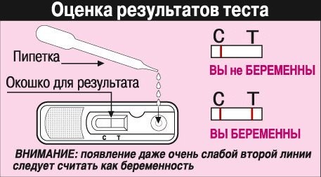 Фраутест (Frautest) на беременность. Отзывы, инструкция, цена, фото
