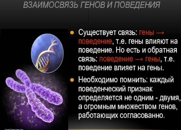 Как передаются гены по наследству. Генетика от родителей к детям