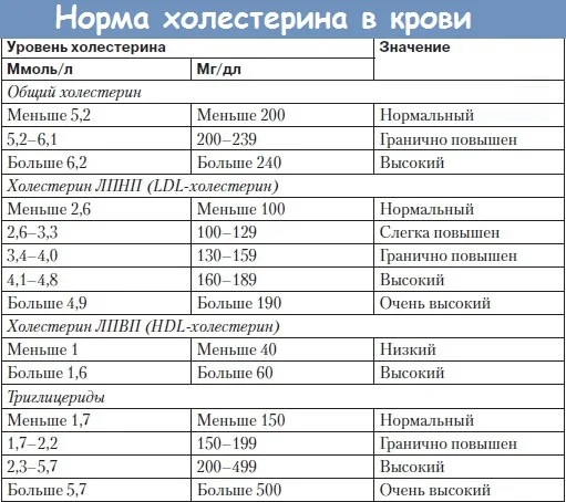 Кровеносные сосуды человека. Схема системы кровообращения, анатомия