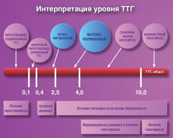 Гипотиреоз. Симптомы у женщин в менопаузе, при беременности. Лечение, последствия, рекомендации