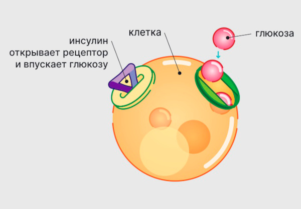 Глибомет (Glibomet) таблетки. Инструкция по применению, отзывы