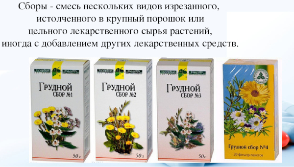 Можно ли пить грудной сбор при беременности