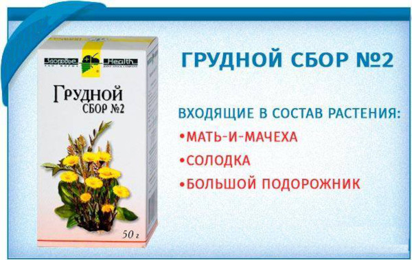 Можно ли пить грудной сбор при беременности