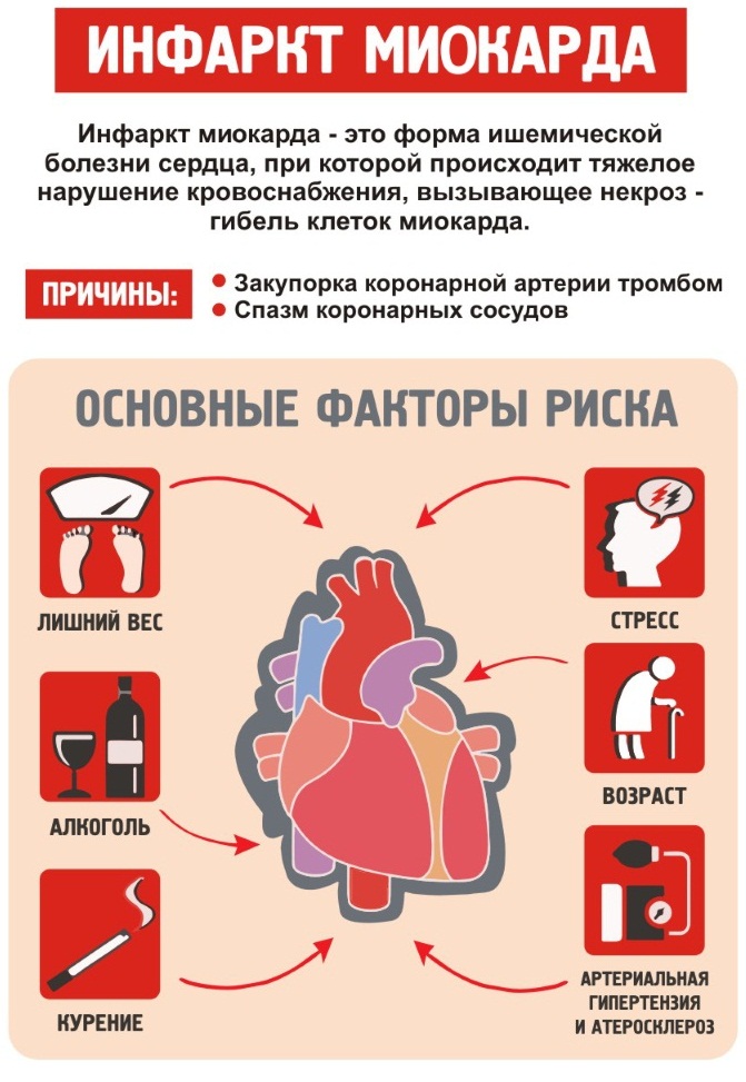 Гомоцистеин - что это, анализ при планировании беременности. Что показывает, норма, как сдавать кровь