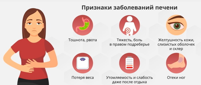 Как проверить печень на заболевания, анализы, анализы, врачи