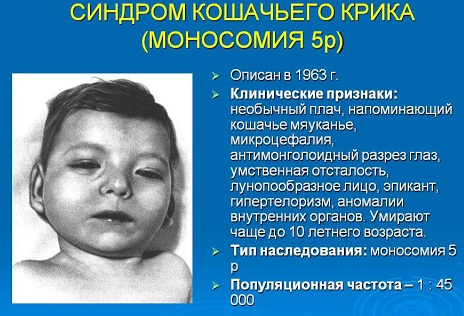 Сколько хромосом у человека в норме. Количество, классификация, патологии
