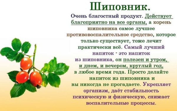 Диета при ГЭРБ (гастроэзофагеальном рефлюксе). Меню на каждый день, что можно