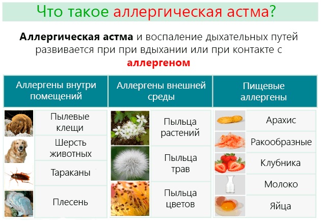 Кожные пробы на аллергены у детей, взрослых. Расшифровка результатов, подготовка, цена