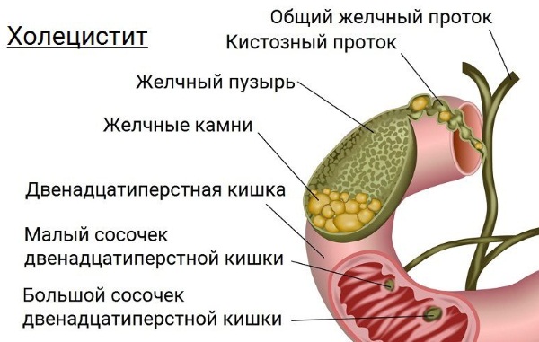 Рекицен-РД. Инструкция по применению, цена, отзывы