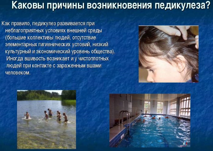 Лечение педикулеза у детей. Препараты, народные средства, лекарства