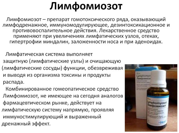 Лимфомиозот. Инструкция по применению взрослым: капли, таблетки