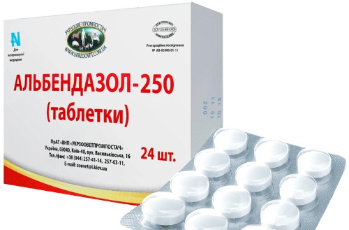 Энтеробиоз у взрослых. Симптомы и лечение, препараты